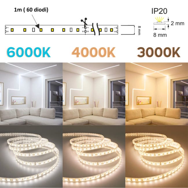 Tira LED 5 metros 12V IP20, Luz Fría 6000K, 300 LEDs, SMD2835, Base  Adhesiva De Alta Calidad 3M, Corte cada 5 Centímetros