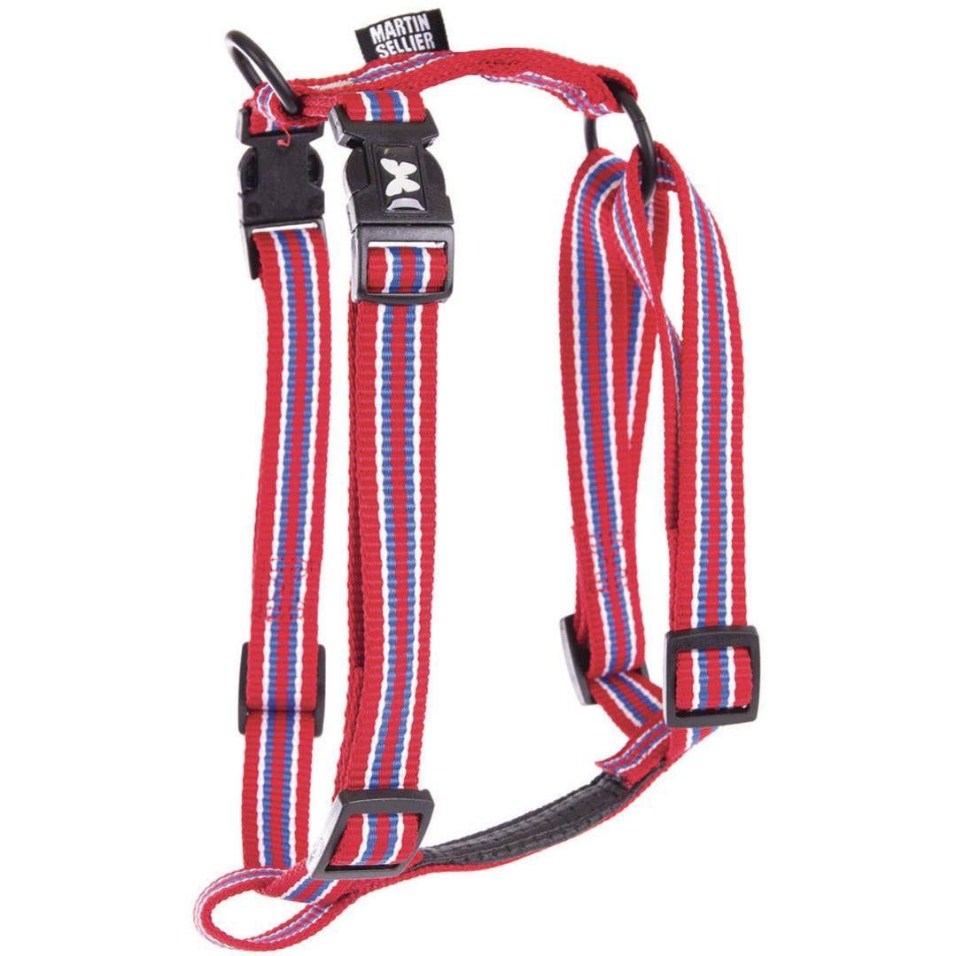 Harnais Pour Chiens Collection Martin Sellier Collection Trio Leroy Merlin