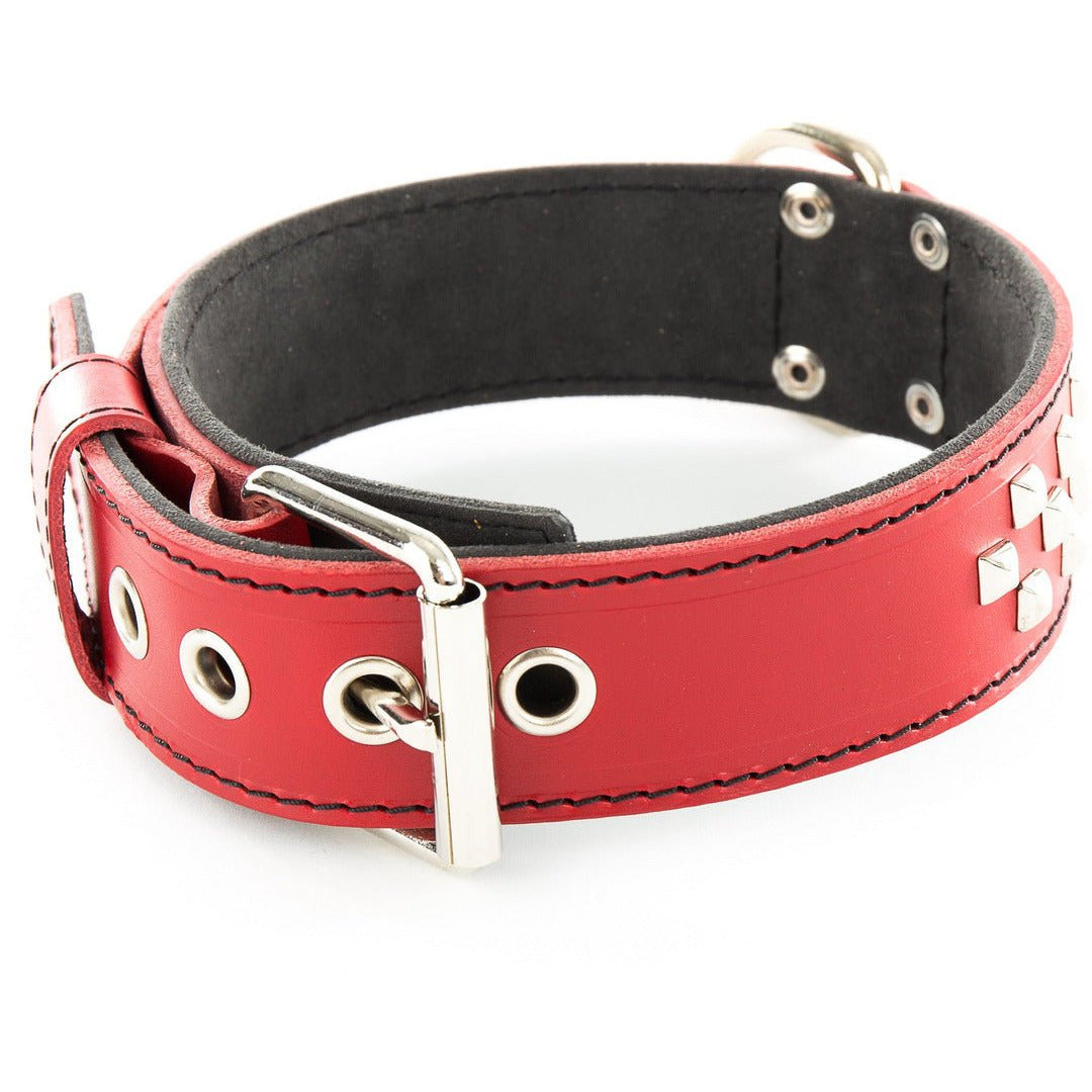 Collier en cuir pour chien Martin Sellier avec clous et doublure en Alcantara Leroy Merlin