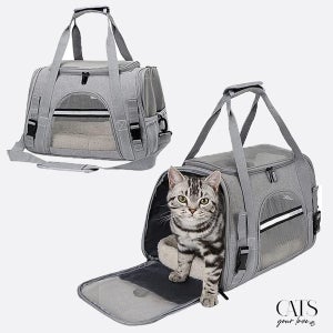 Caisse et sac de transport pour chat