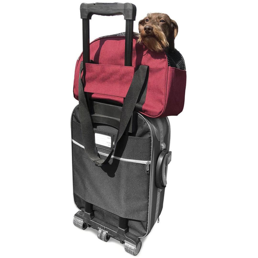 Sac De Voyage Avion Pour Chiens Et Chats Martin Sellier - Sac Bowling | Leroy Merlin