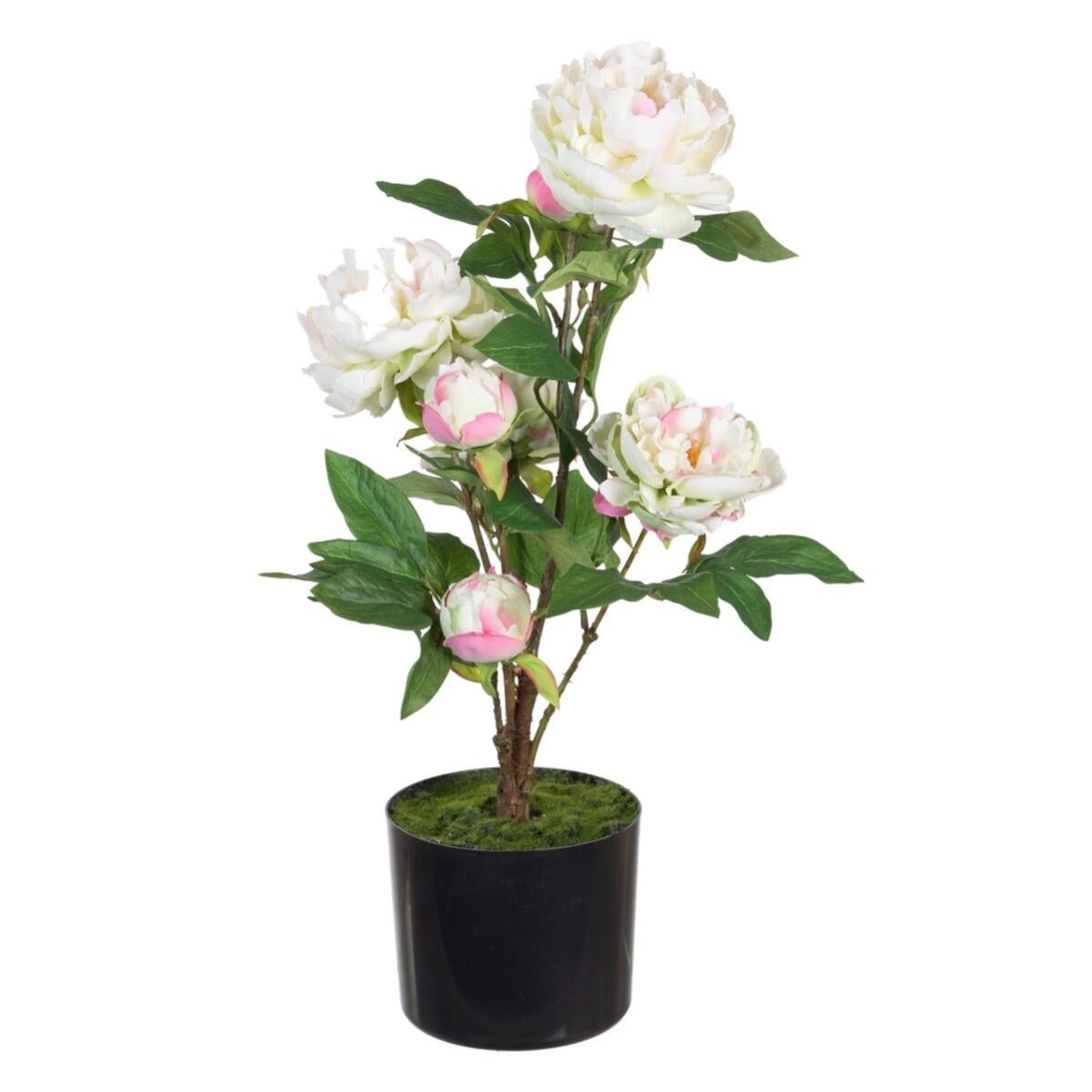 Plante D corative 34 X 30 X 59 Cm Cr me Pivoine Leroy Merlin Plante d corative 34 x 30 x 59 cm cr me pivoine leroy merlin