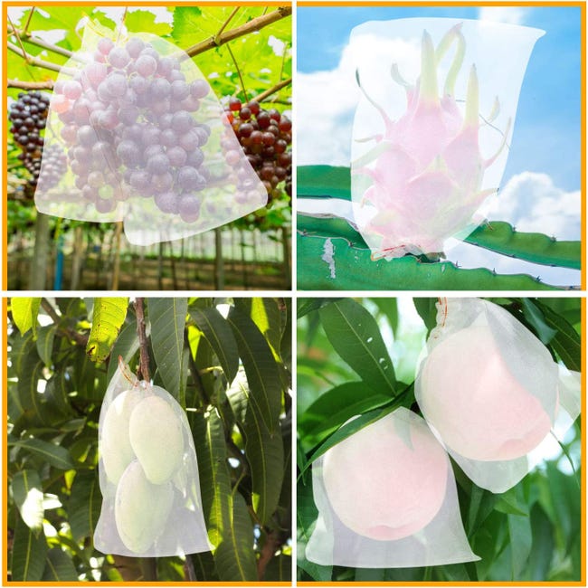 10 sacs de protection des fruits jardin insecte résistant sac en filet  corde à tirer réutilisable anti - oiseaux raisin sac en filet produits  21X14