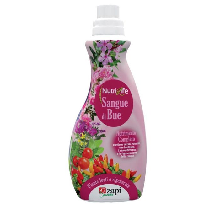 Grande Potiche Rosso Sangue di Bue VASI CACHEPOT Corydon Grande Potiche Rosso Sangue di Bue VASI CACHEPOT Corydon