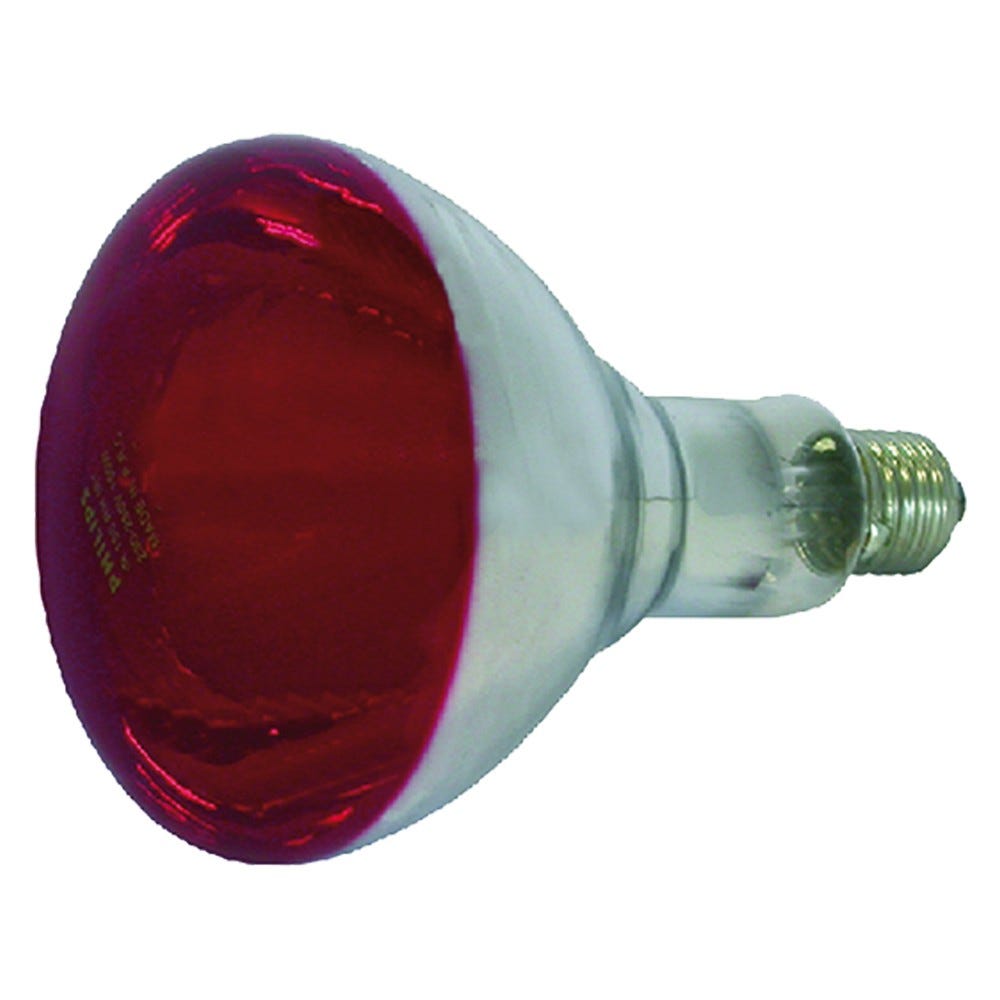 Lampada Infrarossi 150w rossa E27