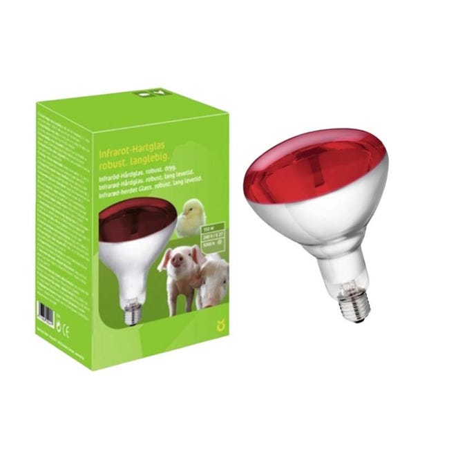 Kerbl - Kit Lampada a Raggi Infrarossi Riscaldante da 250 W Kerbl - Kit Lampada a Raggi Infrarossi Riscaldante da 250 W