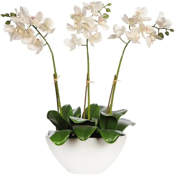 Las mejores ofertas en Flores de Orquídeas Artificiales sin marca