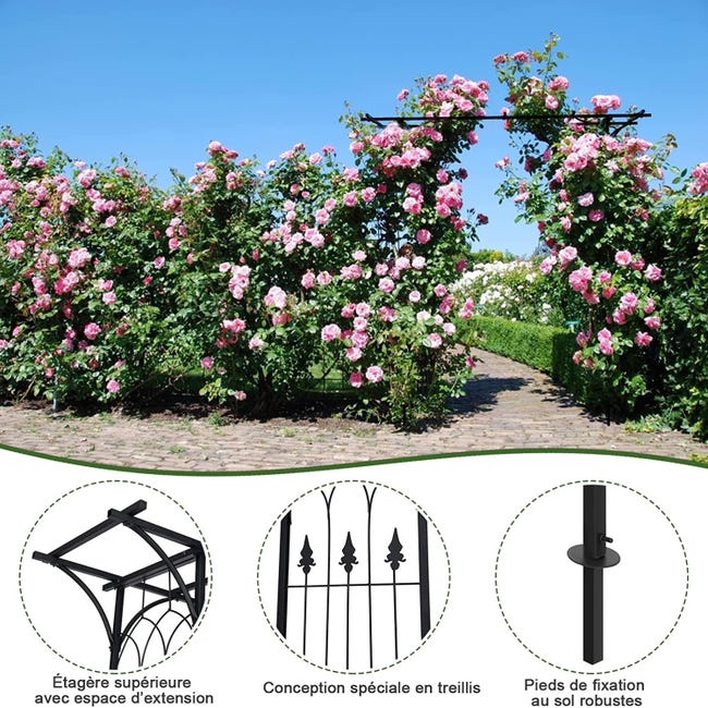 FATIVO Arche Jardin pour Plante Grimpante: Grande Arche de Mariage Fer  Forgé 206 x 208cm pour Rosier Clématite Décoration du Jardin Mariage