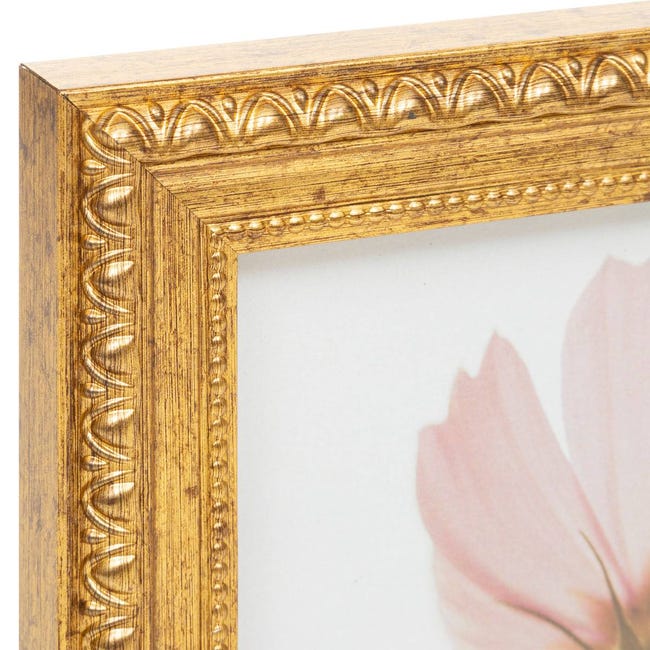 Rahmengalerie24 cadre photo 50x100 cm cadre bois doré verre
