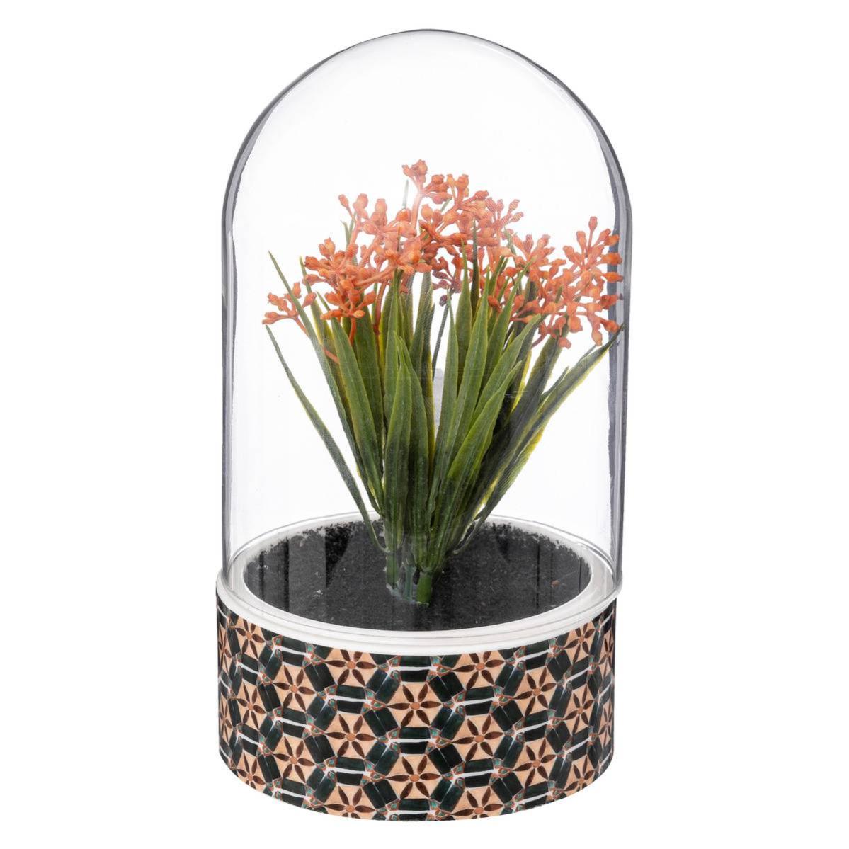 Plante sous cloche "Ali" pot en céramique H21 cm Atmosphera