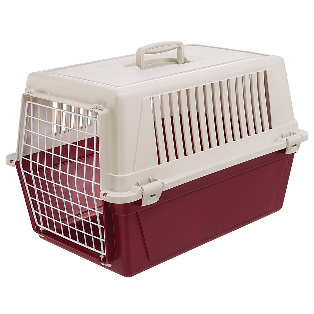 Cage de transport pour chat avec porte en fer