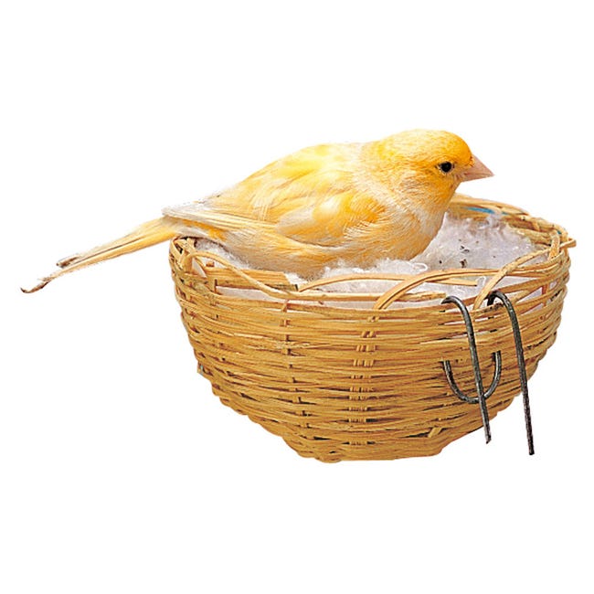 Cage à oiseaux nid perroquet lit nid avec flanelle pour canaris