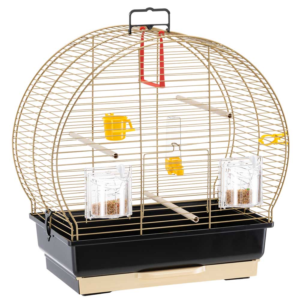 Accessoires pour oiseaux intérieur – Boutique du Compagnon