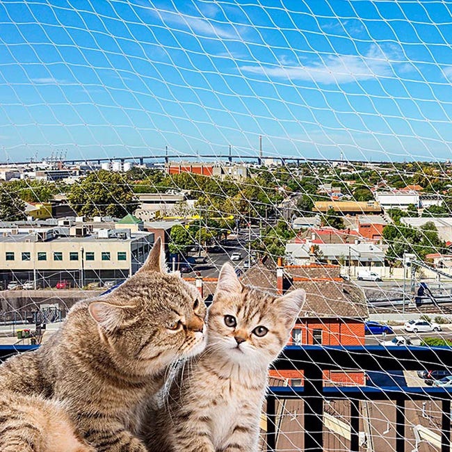 Ferplast CAT NET XS Rete protettiva per gatti, Rete di protezione balcone,  Nylon resistente a UV, con ganci e viti di fissaggio, 200 x h 150 cm