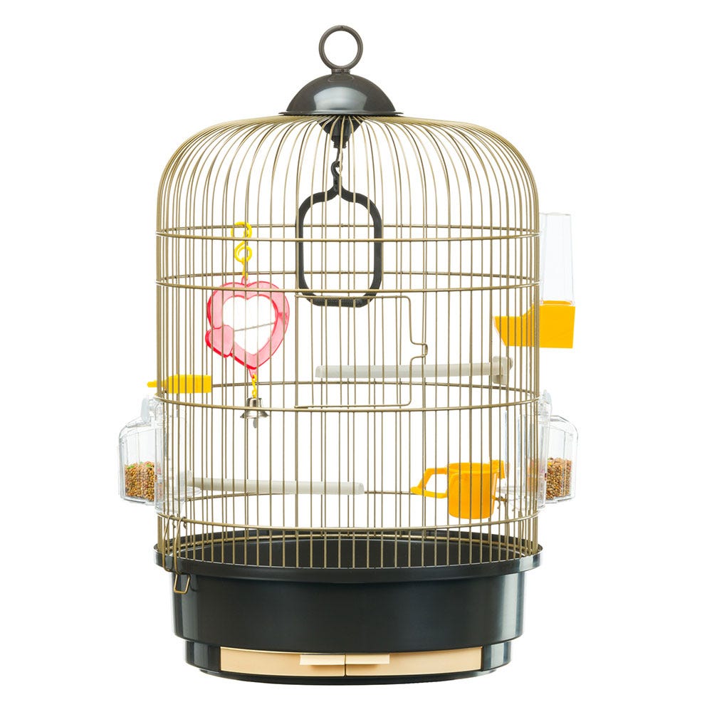 Accessoires pour oiseaux intérieur – Boutique du Compagnon
