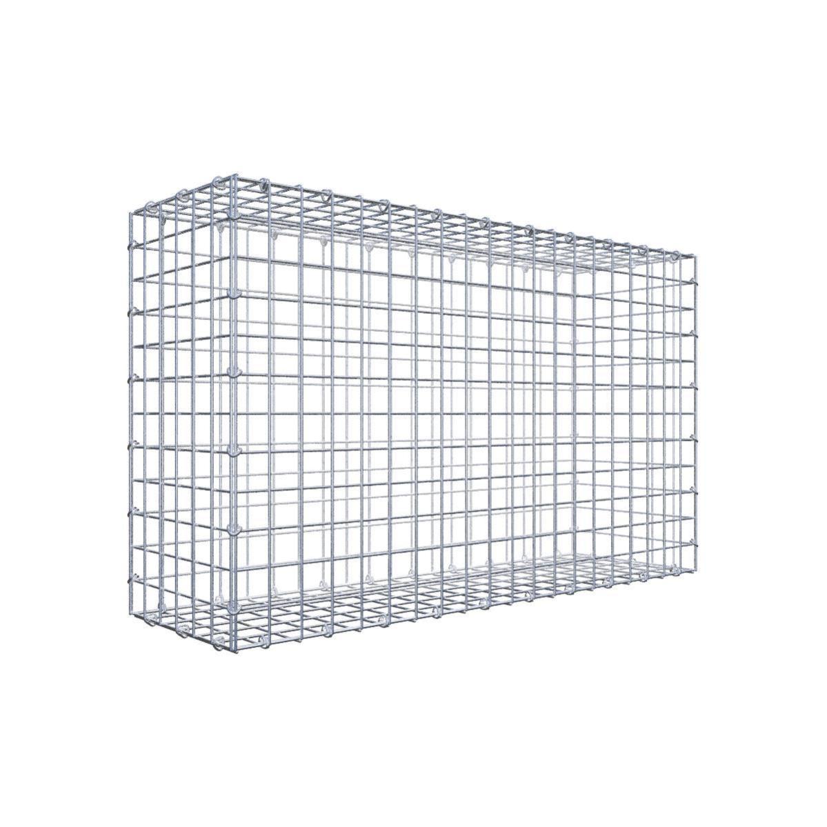 Gabiona Gabbione 100 Cm X 60 Cm X 30 Cm L X A X P Maglia 5 Cm X 5 gabiona-gabbione-100-cm-x-60-cm-x-30-cm-l-x-a-x-p-maglia-5-cm-x-5