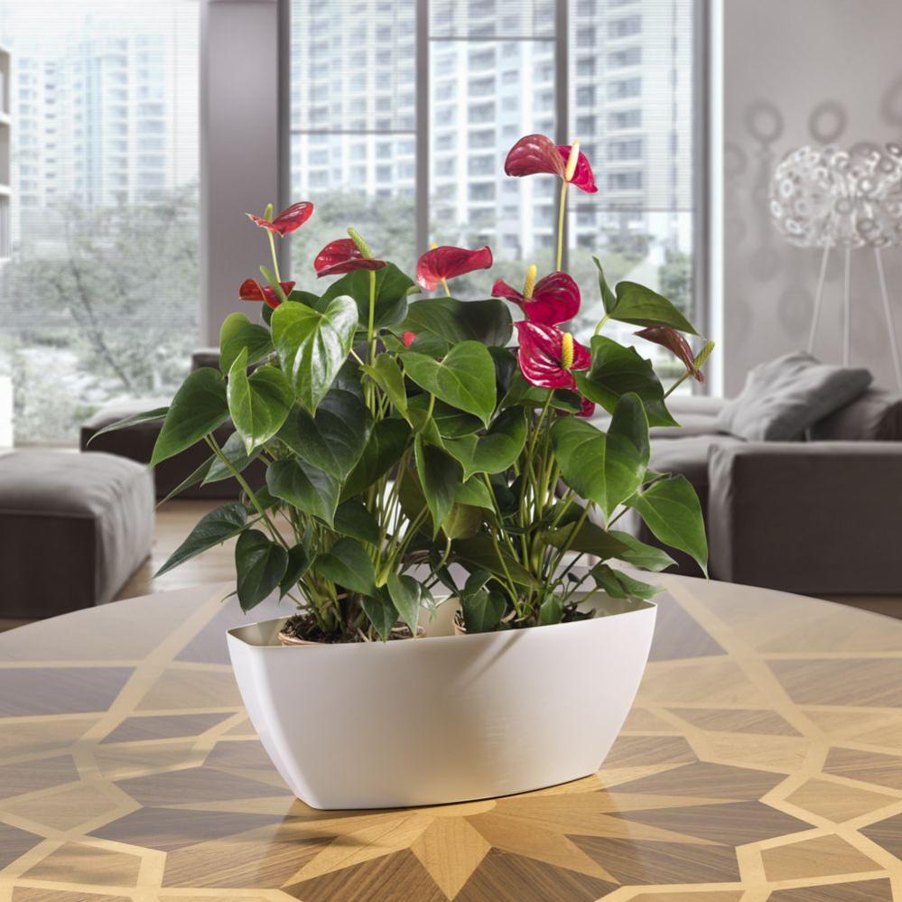 Vaso ''Essential Pasubio'' alto in plastica per fiori e piante da este