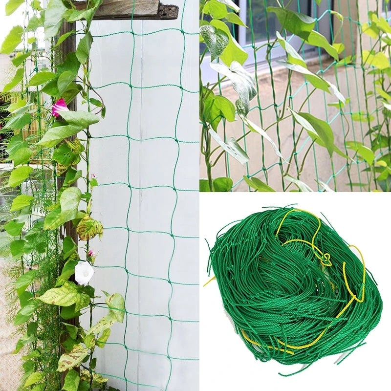 Fil de serrage pour jardin, 100 m, fil torsadé pour plantes grimpantes,  vignes, arbustes et fleurs (