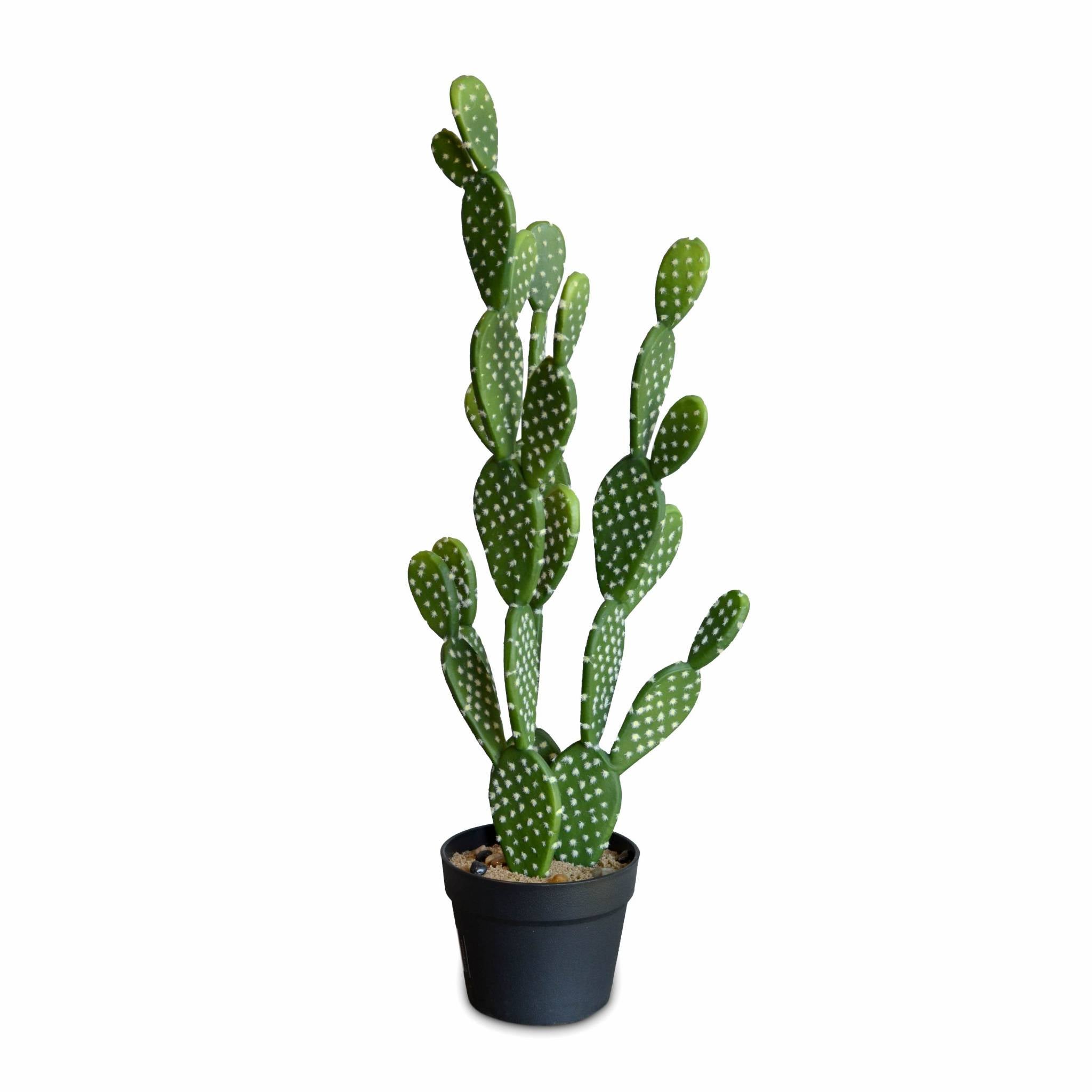 Pianta cactus artificiale da interno 72 cm