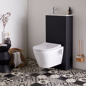 Rainsworth Abattant WC avec Frein de Chute, Lunette de Toilette Clipsable  avec une Capacité de Charge 150 kg, Lunette WC Antibactérien, Lunette de