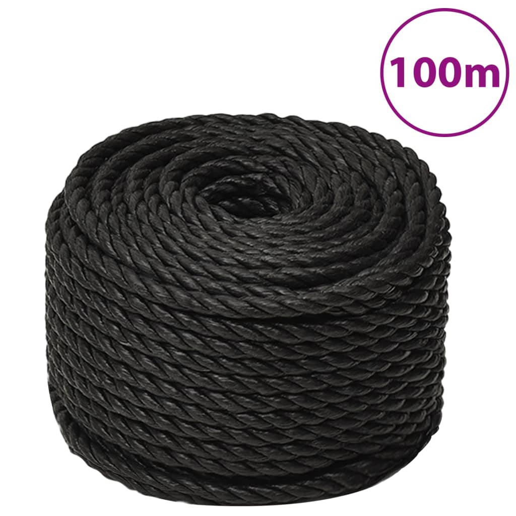 Maison Exclusive - Corda de trabalho 10 mm 100 m poliéster preto