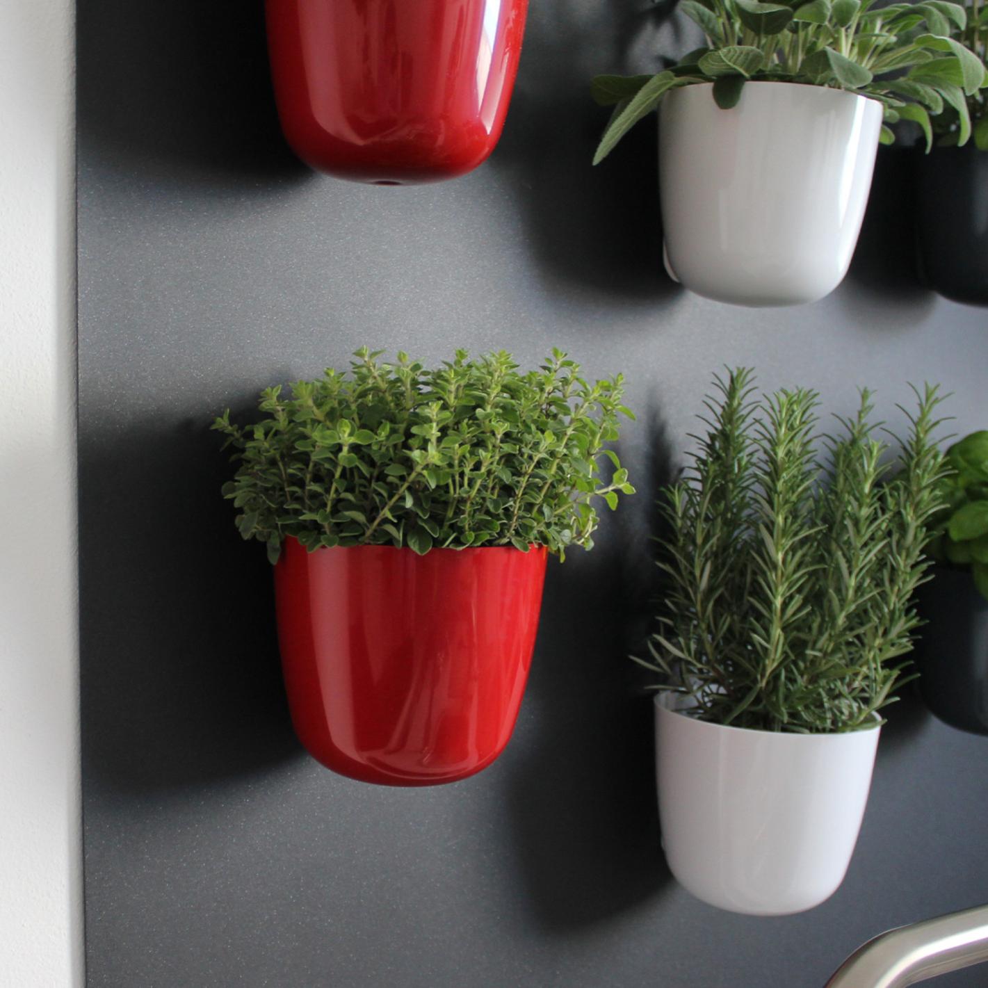 Lot De 3 Cylindres Magnétiques - Rangement Murale | Porte-stylos, Cache-pots | Pour Tableau Magnétique, Frigo | 6,5 Cm | Noir/Plomb/Glace