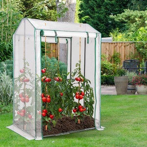 Mini serre de jardin en verre et aluminium H. 150cm, vente au