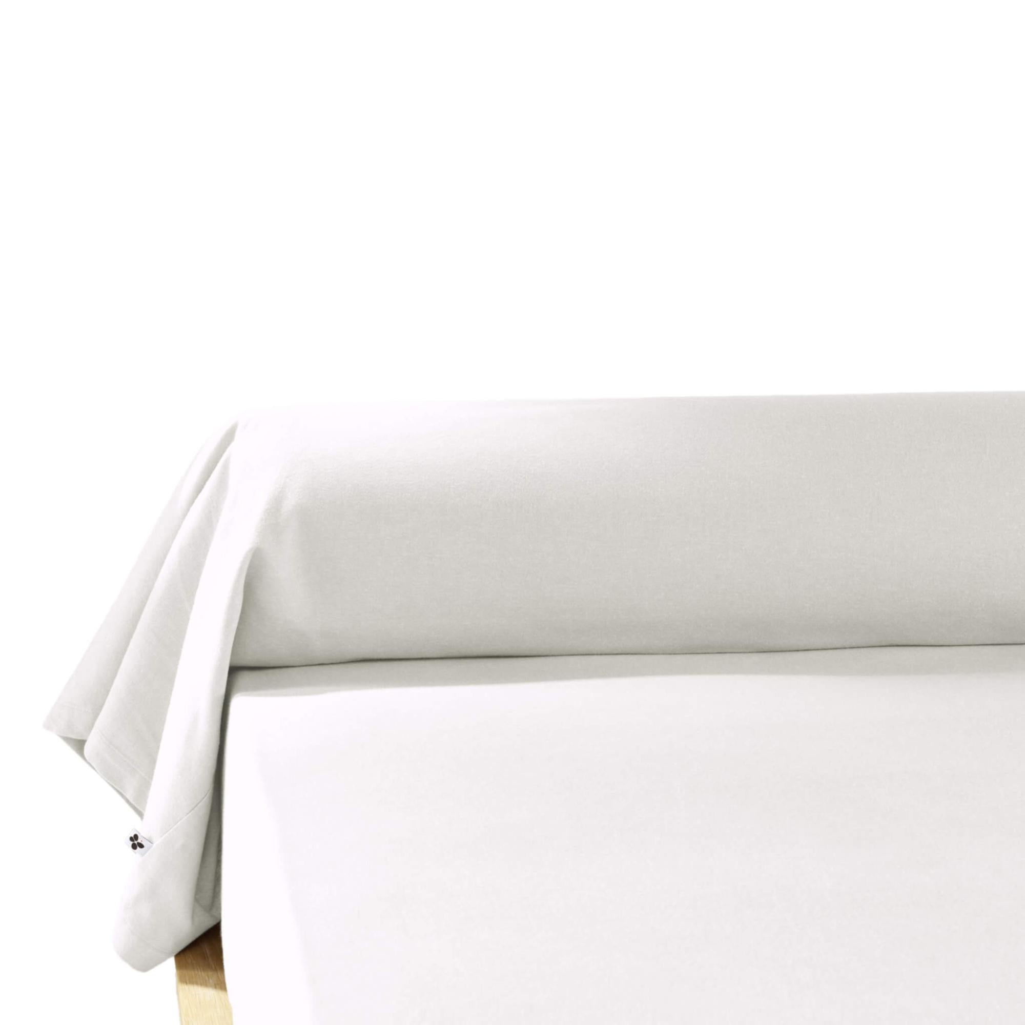 Taies De Traversin Jetables Blanc 100x40 Cm – Lot De 25 En Carton – Idéal Milieu Médical Ou Hôtelier