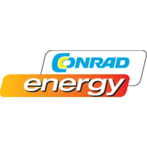 Conrad energy Jeu de piles LR6, LR03, LR14, LR20, bloc 9V 31 pc(s