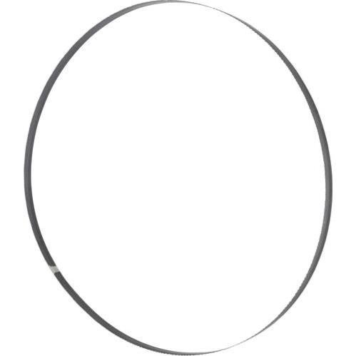 Lama Per Sega A Nastro In Metallo Holzmann BS_125M – Spessore 0,6 Mm, Per Taglio Di Precisione, Compatibile Con Seghe A Nastro Holzmann