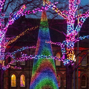 Arbre de Noël lumineux Central Park 240 LED 1,5m