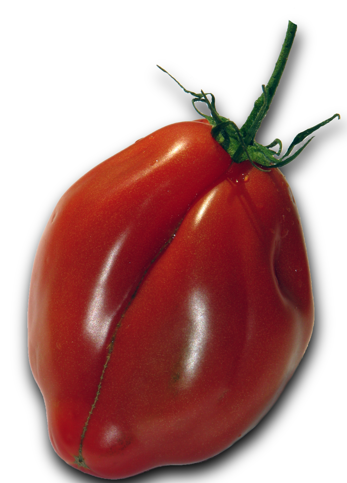 Piatto BLW Jané Con Ventosa - Silicone 100%, Senza BPA, Con Scomparti, Verde - Foto 11