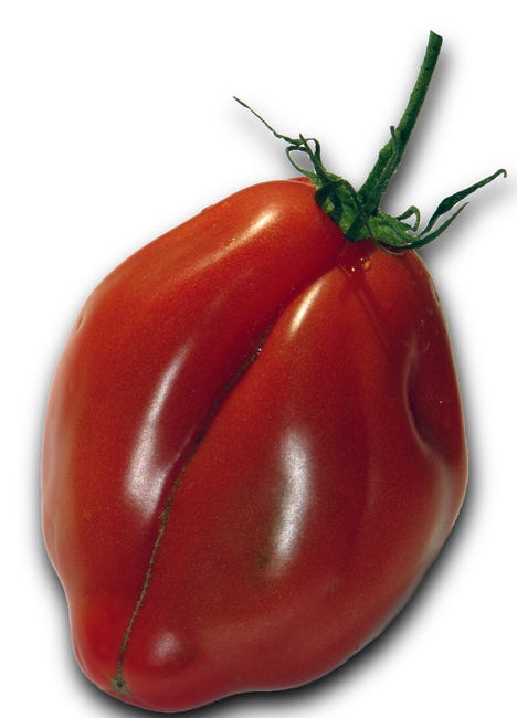 Piatto BLW Jané Con Ventosa - Silicone 100%, Senza BPA, Con Scomparti, Verde - Foto 11