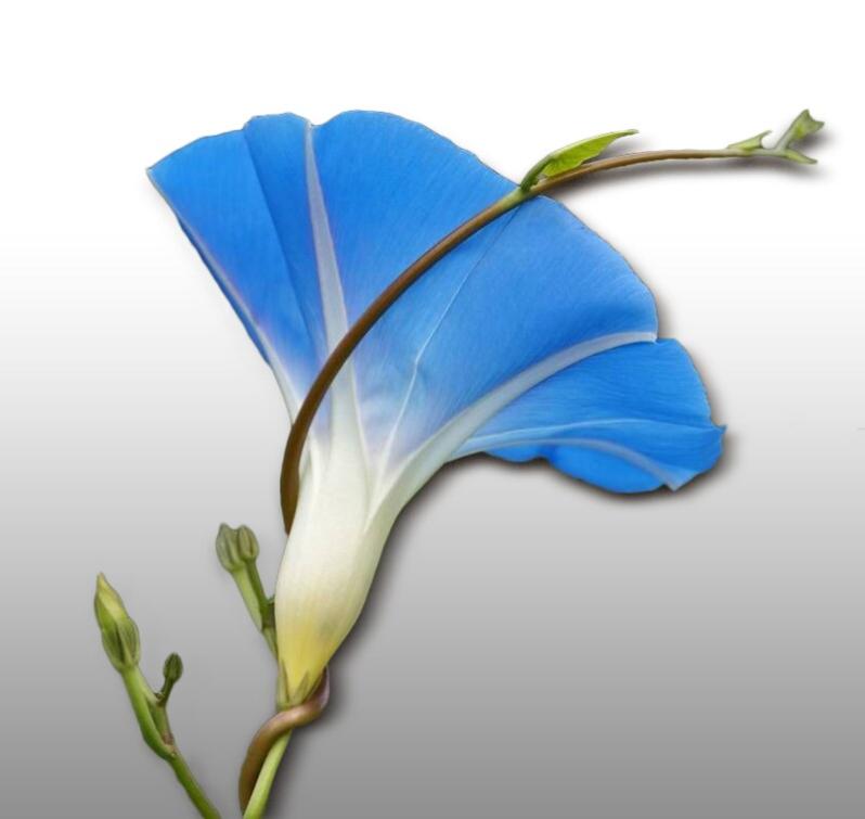 Griglia Auto In Alluminio 100x33 Cm - Rete Universale Per Paraurti E Prese Aria - Foto 6