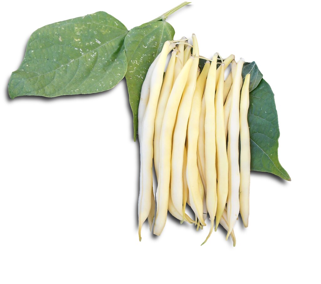 75 grammes à semer Le Grenier d