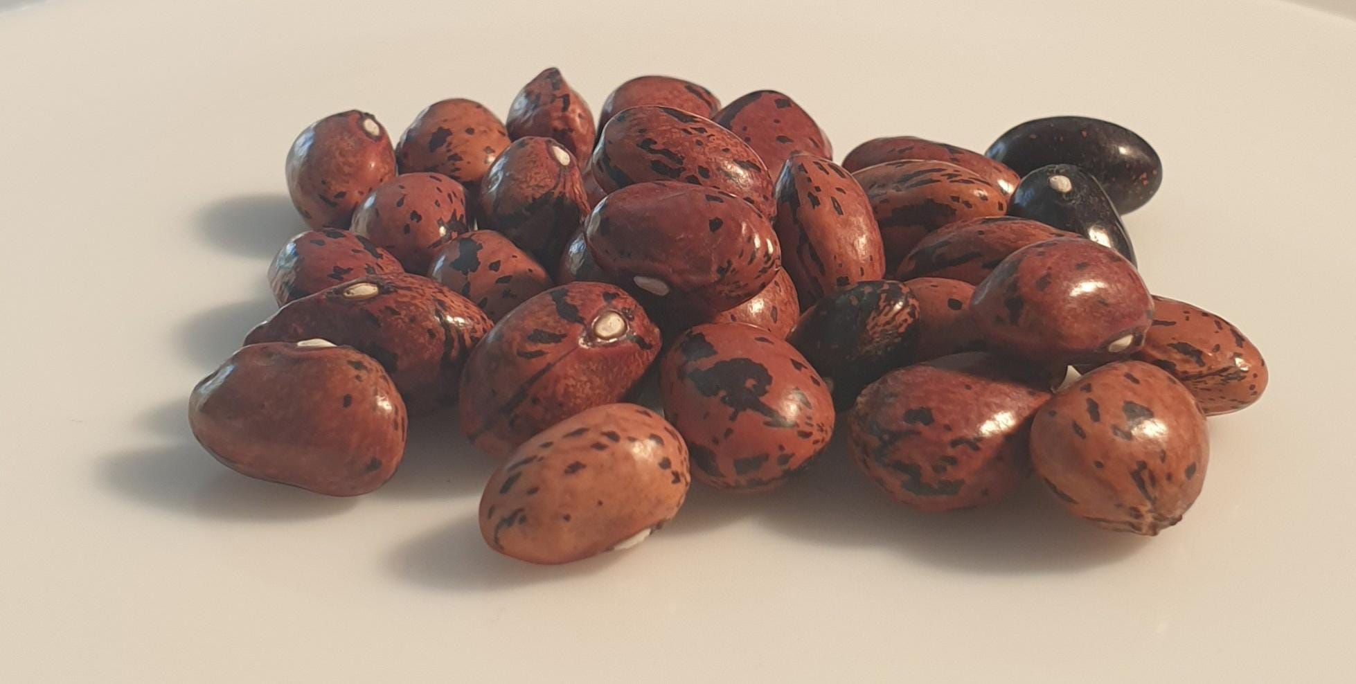 Occhiali Da Sole Cerdá Life's Little Moments - Licenza Sonic, Blu, Unisex - Foto 3