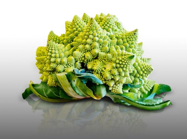 100 Graines A Semer Le Grenier D Abondance Chou Fleur Romanesco Brassica Oleracea Leroy Merlin 100 Graines A Semer Le Grenier D Abondance Chou Fleur Romanesco Brassica Oleracea Leroy Merlin