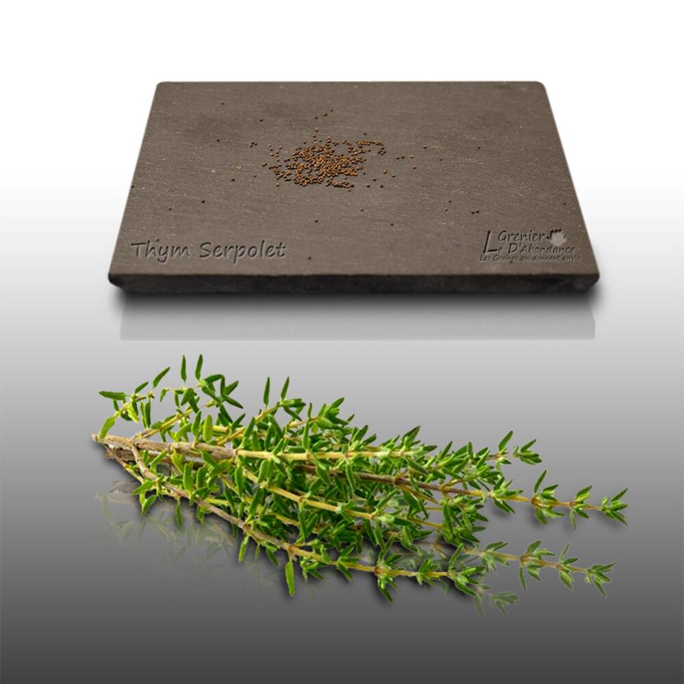 Graines De Thym D'hiver - Vilmorin/[-]sachet