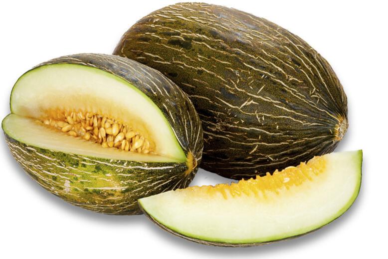 20 graines à semer Le Grenier d'Abondance MELON Vert d'Espagne Piel