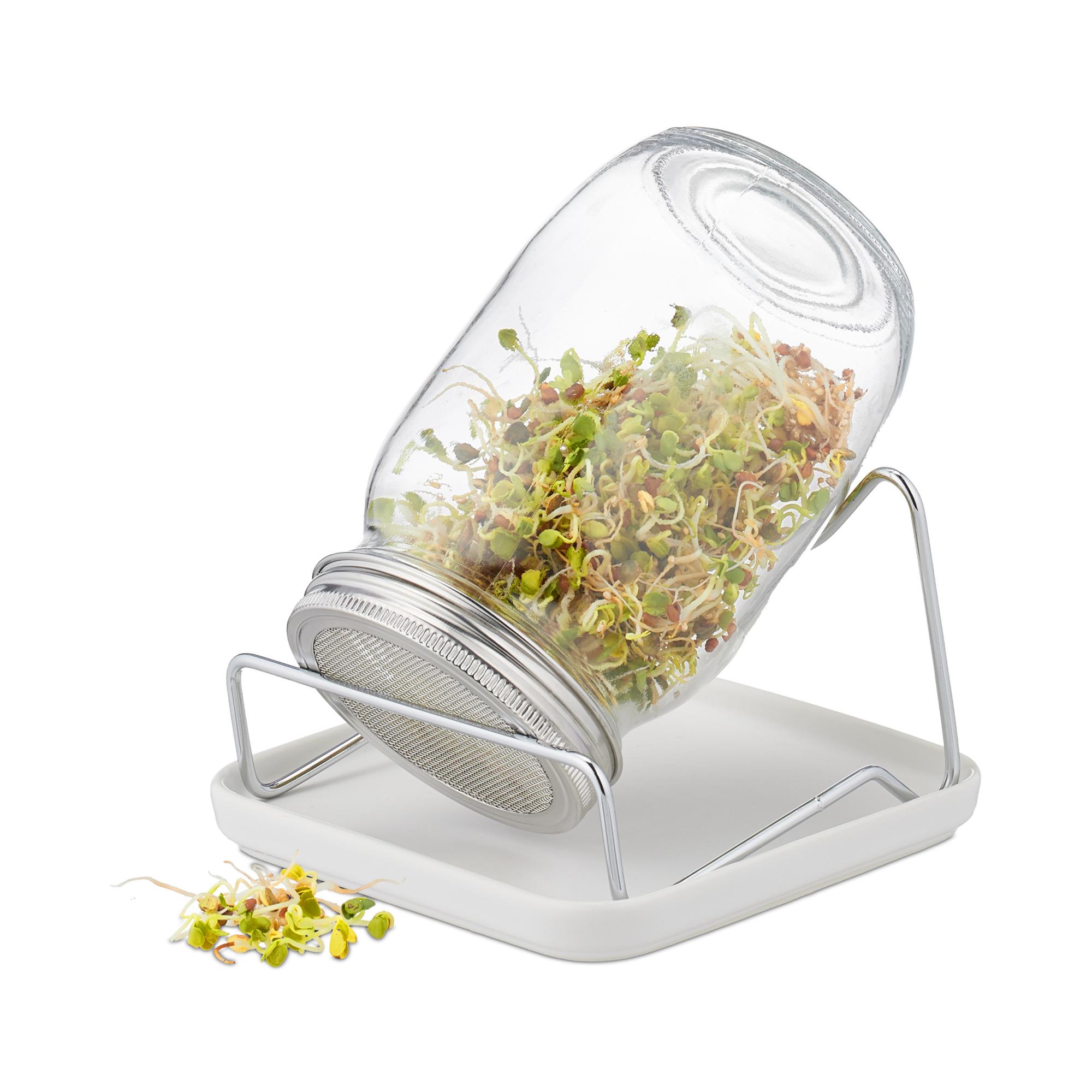Germoir En Verre 2 X 1000 Ml - Kit Germination Graines Avec Couvercles Inox Et Support - Faites Pousser Vos Germes