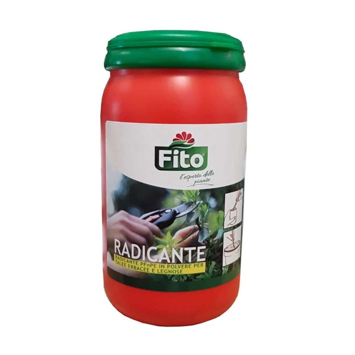 Ormone Radicante In Polvere – 10 Bustine Da 10 G A Base Di Acido Naftaleneacetico, Per Talee E Trapianti, Protezione Dalle Malattie