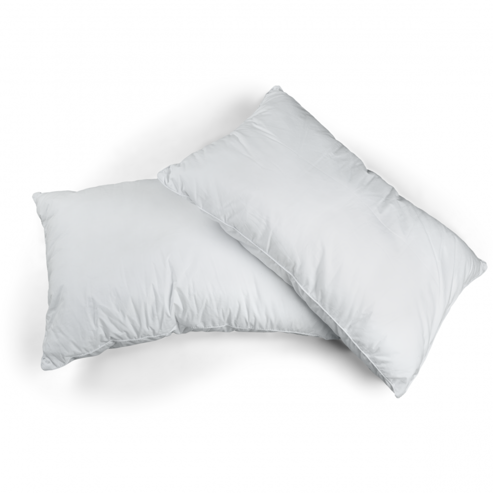 Lot De 2 Oreillers Tendance - 60 X 60 Cm - Garnissage 100% Polyester Fibre  Creuse Siliconée - Blanc - Oreiller et traversin BUT