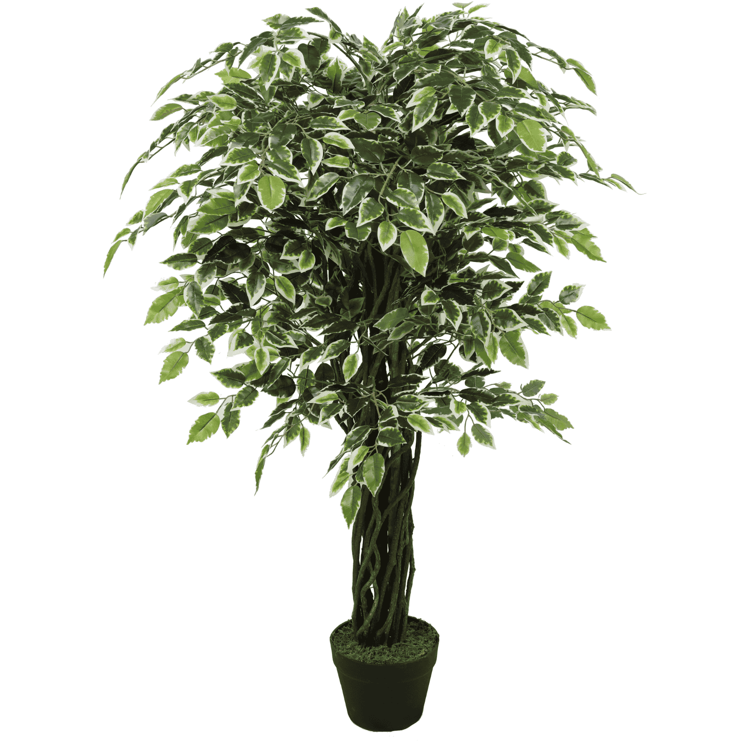 Planta artificial Ficus 170cm 