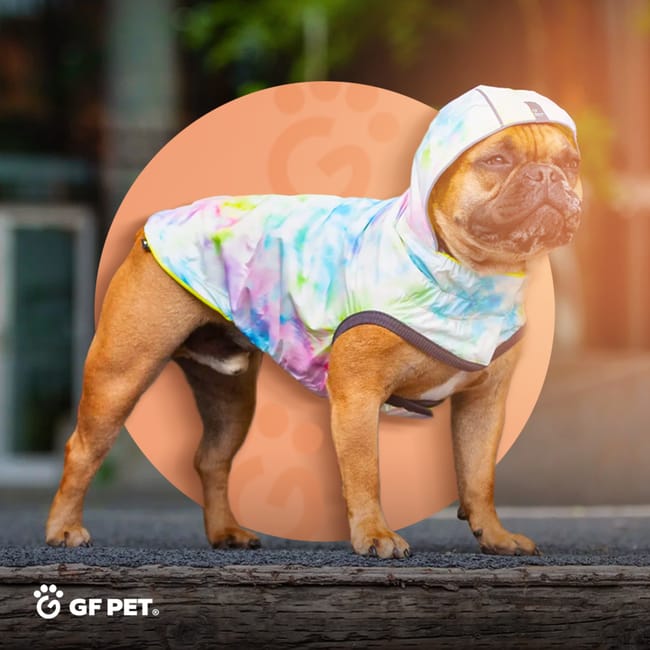 Manteau chien xs sale