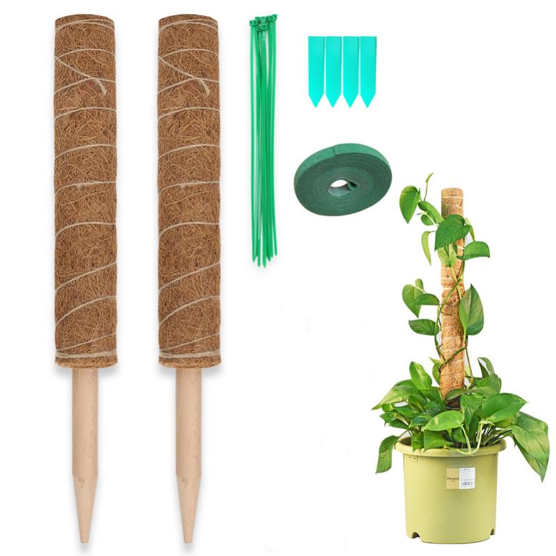 Tuteurs En Mousse Pour Plantes Grimpantes – Lot De 2 (60cm) – Avec Corde De Jute & Attaches