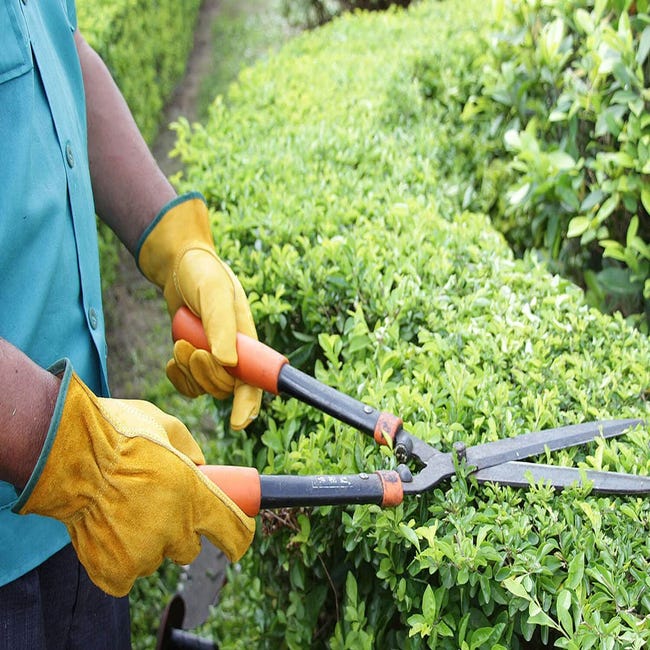 Gants de travail en cuir Flex Grip Gant de jardinage en cuir de vachette  résistant pour la coupe du bois/le jardin/la cour (Or, M)