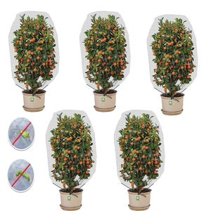 60X80cm hiver couvercle chaud arbustes arbustes protection des plantes sac  Cour plantes gel protection petit arbre contre le froid