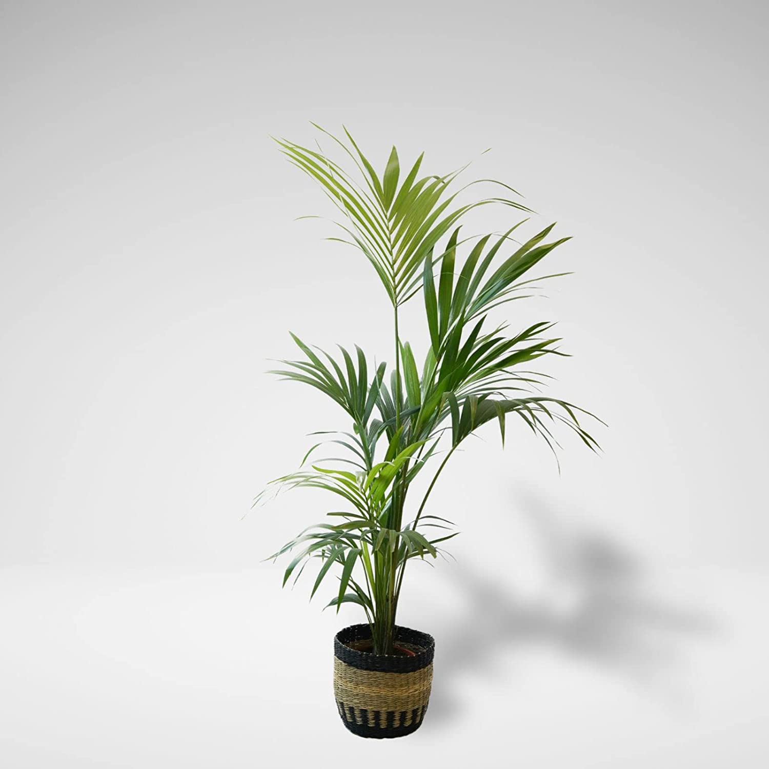 Bambú artificial ø17 x 140 cm color verde