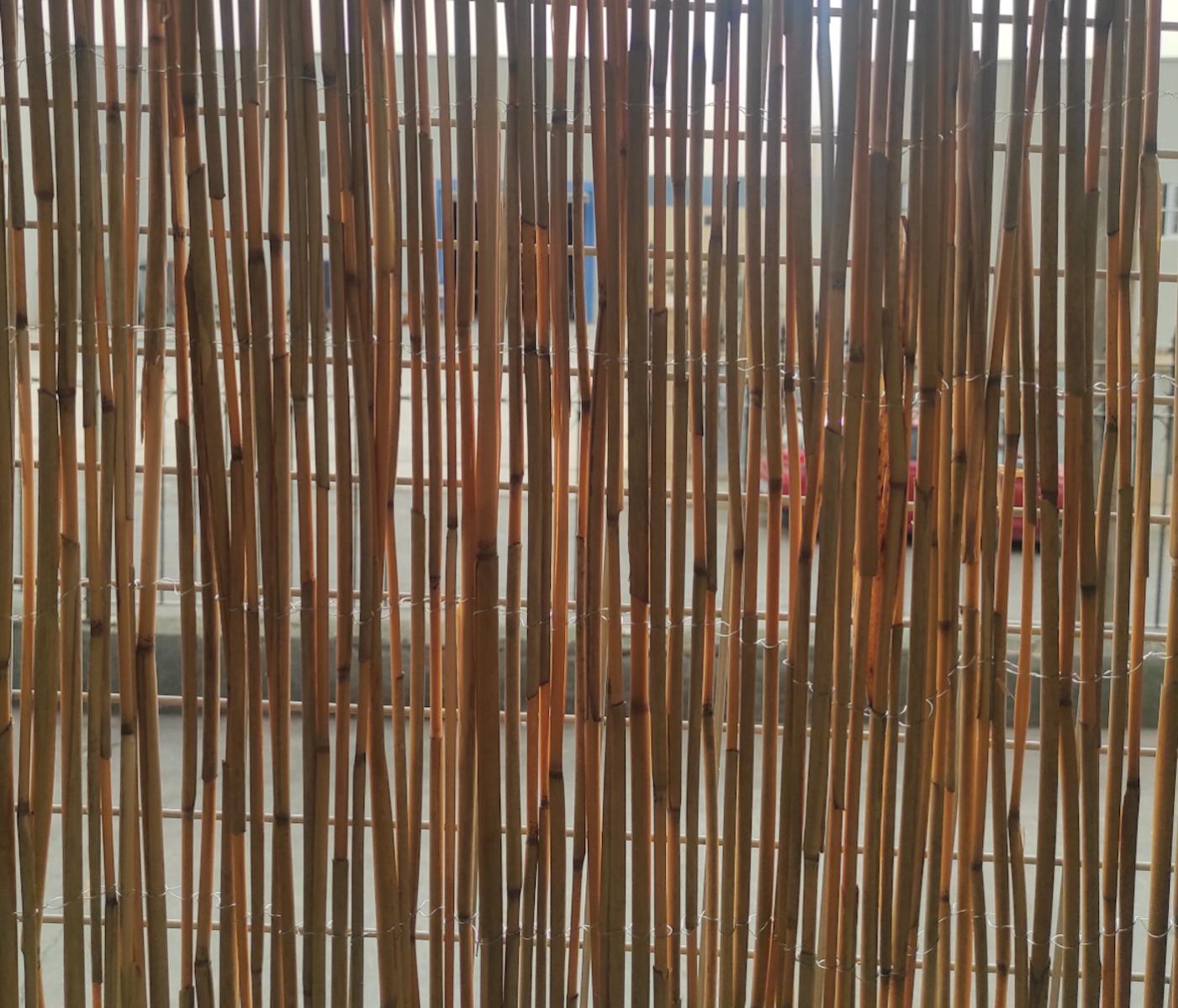 La cordeline Lot de 20 Tuteurs Bambou, Longueur 90 cm
