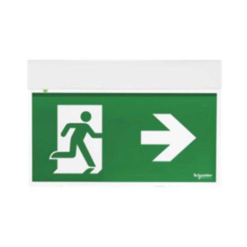 Lámpara De Bandera De Emergencia Schneider Exeasysign 24 Metros Se-Sa Ova38250